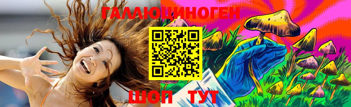 Ногинск  Псилоцибиновые грибы GOLDEN TEACHER  Вход с VPN  Галлюциногенные грибы GOLDEN TEACHER 